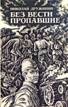 Н. К. Дружинин - Без вести пропавшие