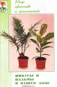 Фикусы и пальмы в вашем доме