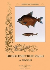 С. Иванов - Экзотические рыбы Л. Агассиз