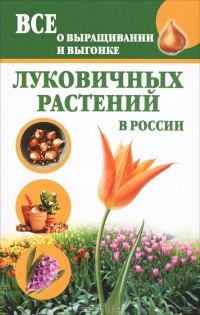 Татьяна Литвинова - Все о выращивании и выгонке луковичных растений в России