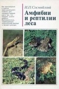 Сосновский Игорь Петрович - Амфибии и рептилии леса