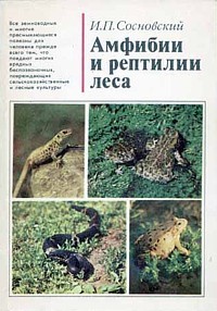 Сосновский Игорь Петрович - Амфибии и рептилии леса