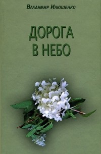 Владимир Илюшенко - Дорога в небо