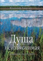 Владимир Личутин - Душа неизъяснимая. Размышления о русском народе