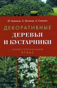 Декоративные деревья и кустарники