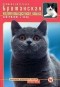 Доминик Кизельбах - Британская короткошерстная кошка. Содержание и уход