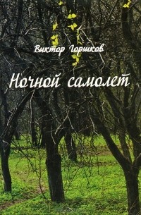 Виктор Горшков - Ночной самолет (сборник)