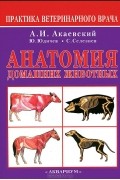  - Анатомия домашних животных