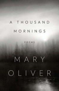 Мэри Оливер - A Thousand Mornings
