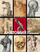 Матиас Дюваль - Анатомия для художников