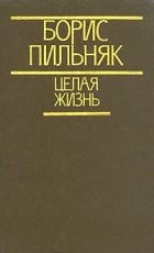 Борис Пильняк - Целая жизнь (сборник)