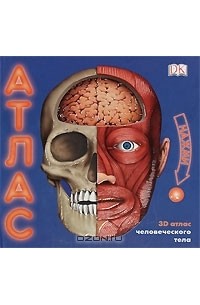 Анита Ганери - 3D атлас человеческого тела. Книга-панорама