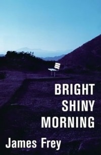 James Frey - Bright Shiny Morning