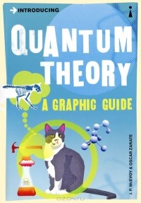  - Introducing Quantum Theory: A Graphic Guide