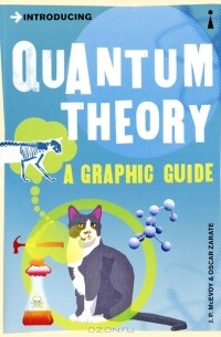  - Introducing Quantum Theory: A Graphic Guide