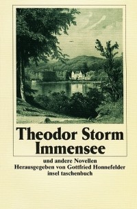 Theodor Storm - Immensee. Novellen