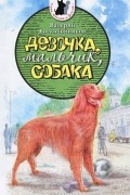Девочка, мальчик, собака