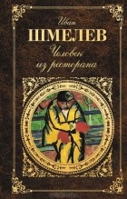Иван Шмелёв - Человек из ресторана (сборник)