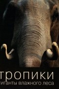 без автора - Тропики. Гиганты влажного леса