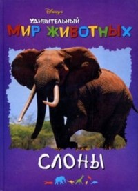 Александр Кочаров - Удивительный мир животных. Слоны