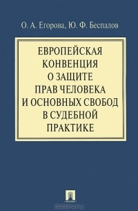  - Европейская конвенция о защите прав человека и основных свобод в судебной практике