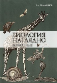 В. А. Тимоханов - Биология наглядно. Животные