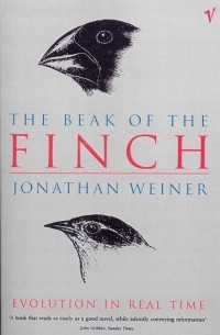 Джонатан Уэйнер - Beak Of The Finch