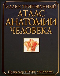 Питер Абрахамс - Иллюстрированный атлас анатомии человека