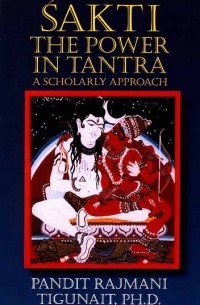 Pandit Rajmani Tigunait - Shakti. The Power In Tantra