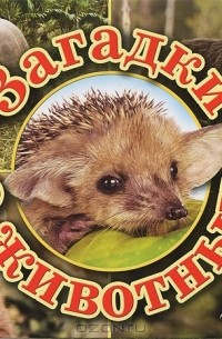 Загадки о животных