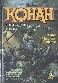 Джон Маддокс Робертс - Конан в цитадели мрака