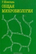 Общая микробиология