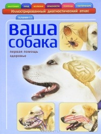 Г. Г. Галанин - Ваша собака