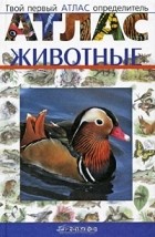  - Твой первый атлас-определитель. Животные