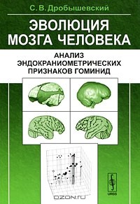 С. В. Дробышевский - Эволюция мозга человека. Анализ эндокраниометрических признаков гоминид