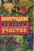 Животовская Екатерина Васильевна - Виноградник на вашем участке