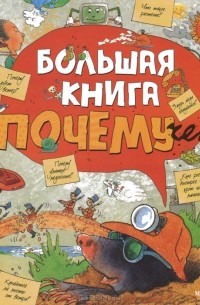 Татьяна Покидаева - Большая книга почемучек