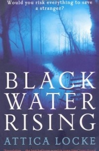 Attica Locke - Black Water Rising