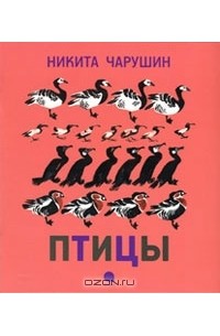 Никита Чарушин - Птицы
