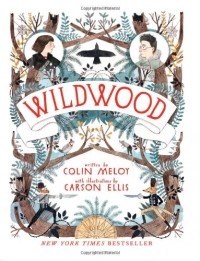 Colin Meloy - Wildwood