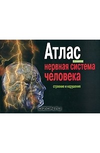 Нервная система человека. Строение и нарушения. Атлас