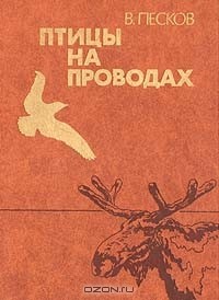 В. Песков - Птицы на проводах