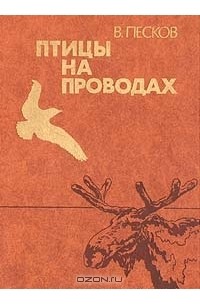 В. Песков - Птицы на проводах