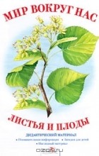 Марина Ордынская - Листья и плоды. Дидактический материал