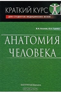  - Анатомия человека