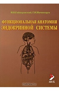 Функциональная анатомия эндокринной системы