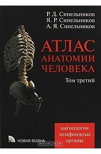 Атлас анатомии человека. В 4 томах. Том 3