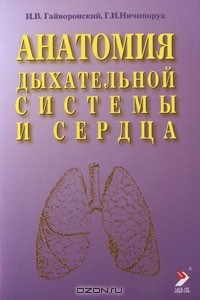  - Анатомия дыхательной системы и сердца