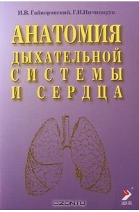  - Анатомия дыхательной системы и сердца