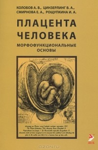  - Плацента человека. Морфофункциональные основы